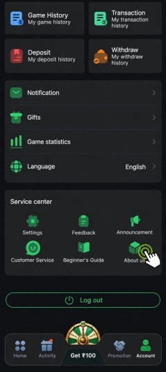 Veer Game About section